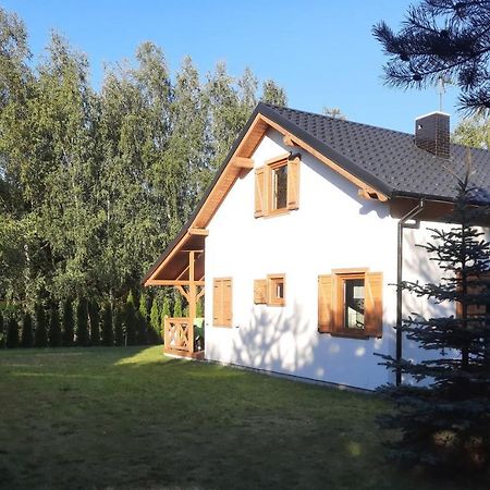 Domek Caloroczny Nad Jeziorem Budzislawskim, Wielkopolska Na Wynajem Anastazewo Bagian luar foto