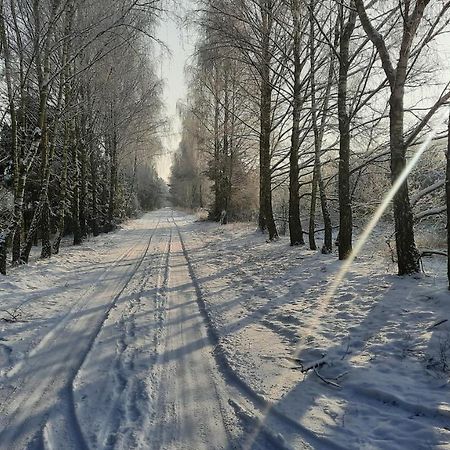 Domek Caloroczny Nad Jeziorem Budzislawskim, Wielkopolska Na Wynajem Anastazewo Bagian luar foto
