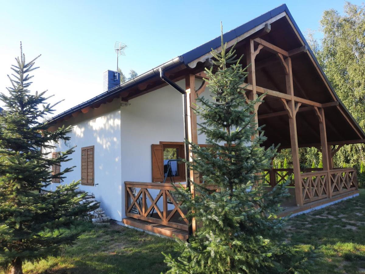Domek Caloroczny Nad Jeziorem Budzislawskim, Wielkopolska Na Wynajem Anastazewo Bagian luar foto