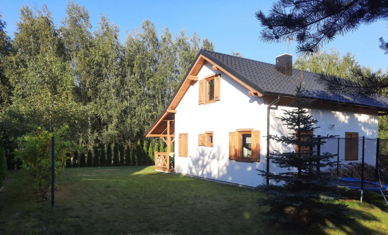 Domek Caloroczny Nad Jeziorem Budzislawskim, Wielkopolska Na Wynajem Anastazewo Bagian luar foto