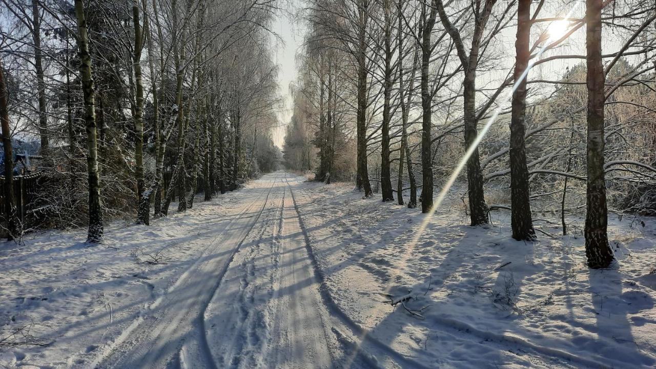 Domek Caloroczny Nad Jeziorem Budzislawskim, Wielkopolska Na Wynajem Anastazewo Bagian luar foto