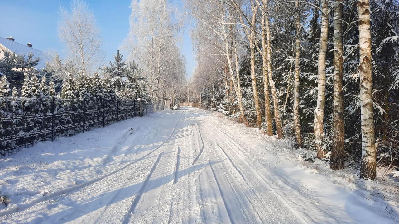 Domek Caloroczny Nad Jeziorem Budzislawskim, Wielkopolska Na Wynajem Anastazewo Bagian luar foto